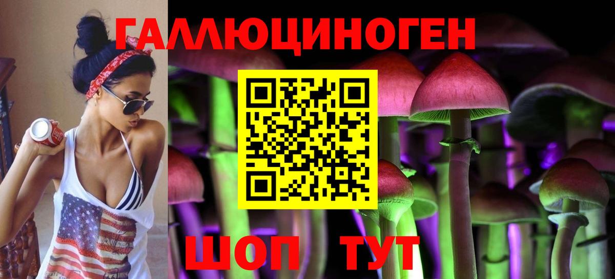 продажа наркотиков  Псилоцибиновые грибы ЛСД  Псилоцибиновые грибы мухоморы  Вход с VPN  Свободный 