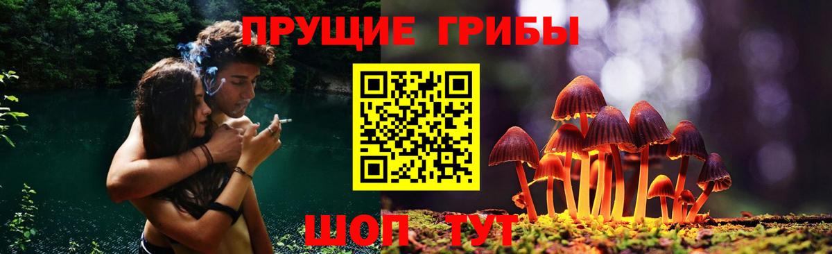 Псилоцибиновые грибы прущие грибы Свободный
